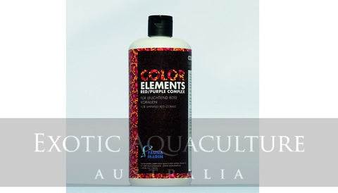 Color Elements Red Purple Complex 500ml for shining red corals