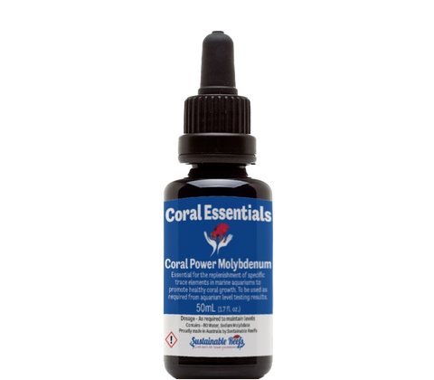 Coral Essentials - Power Molybdenum