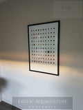 100 zoas & Palys poster