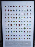 100 zoas & Palys poster