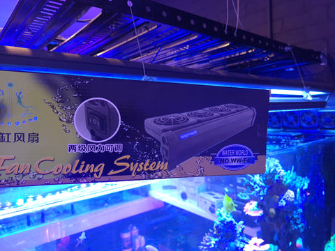 Jebo Reef  DC Fan Silent New Design