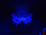Baby octopus 3. Photo on canvas with fluorescent highlights