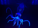 Baby Squid.  Photo on canvas with fluorescent highlights