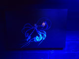 Baby octopus 2.  Photo on canvas with fluorescent highlights