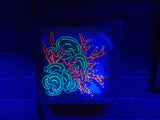 Acro and monti -  Tuyen 'Paul' Tran original Shadow Box painting