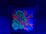 Acro and monti -  Tuyen 'Paul' Tran original Shadow Box painting