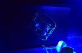 Baby Eel.  Photo on canvas with fluorescent highlights