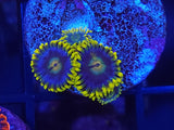 Aus Blue Ice