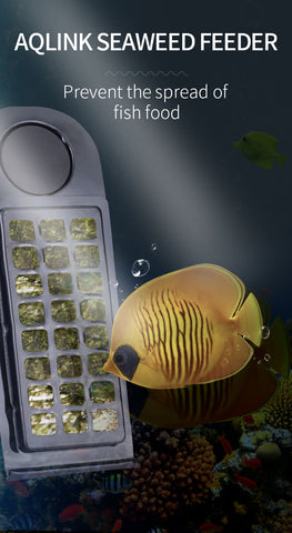 Magnetic Seaweed feeder