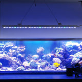 EAA Custom Blue Plus LED Light bar 85cm with Bluetooth control