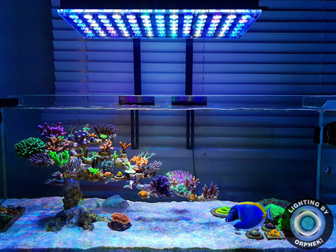 Orphek Atlantik V4 Reef LED lighting (Gen 2) 2020 Model – Exotic  Aquaculture Australia
