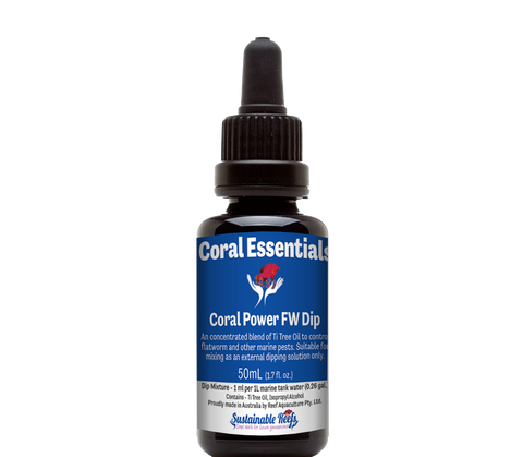 Coral Essentials - Power FW Dip
