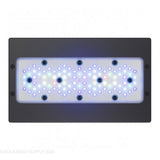 Ecotech Radion G5 Blue XR30 LED Light