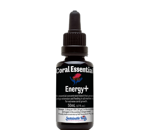 Coral Essentials - Energy+