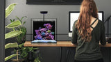 WATERBOX CUBE SERIES AQUARIUMS